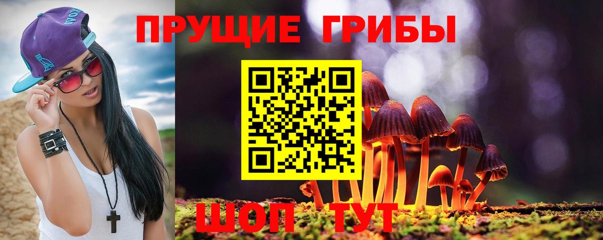 Сатка  Галлюциногенные грибы Magic Shrooms  Вход с VPN 