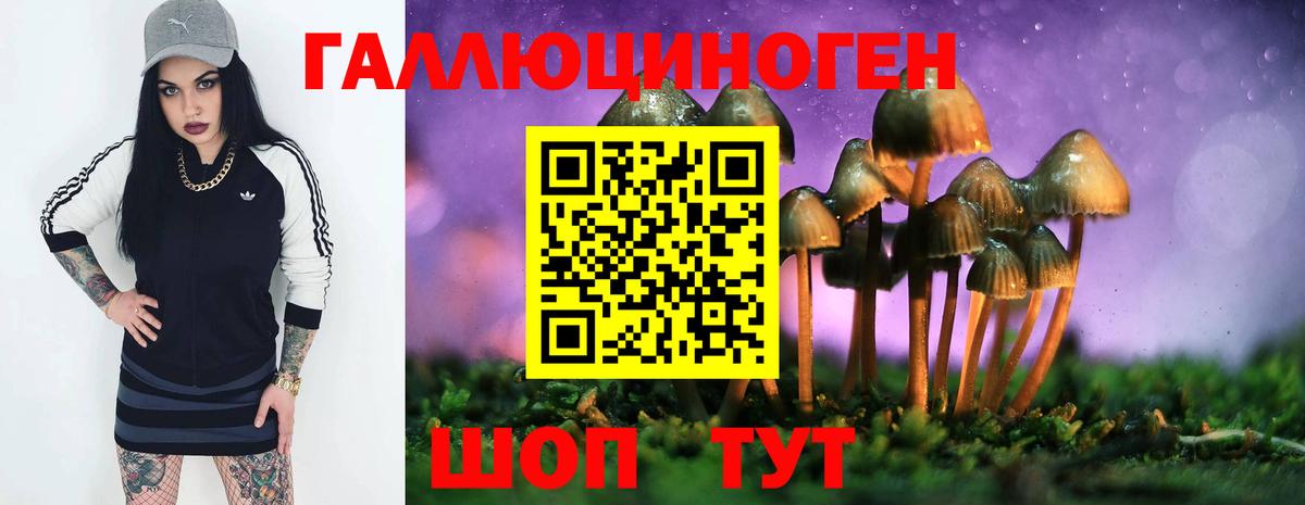 Псилоцибиновые грибы прущие грибы Сатка